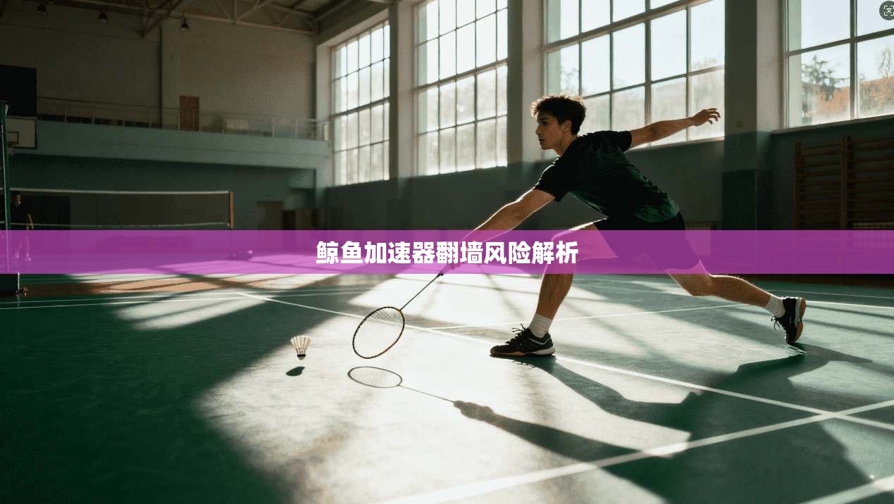 鲸鱼加速器翻墙风险解析