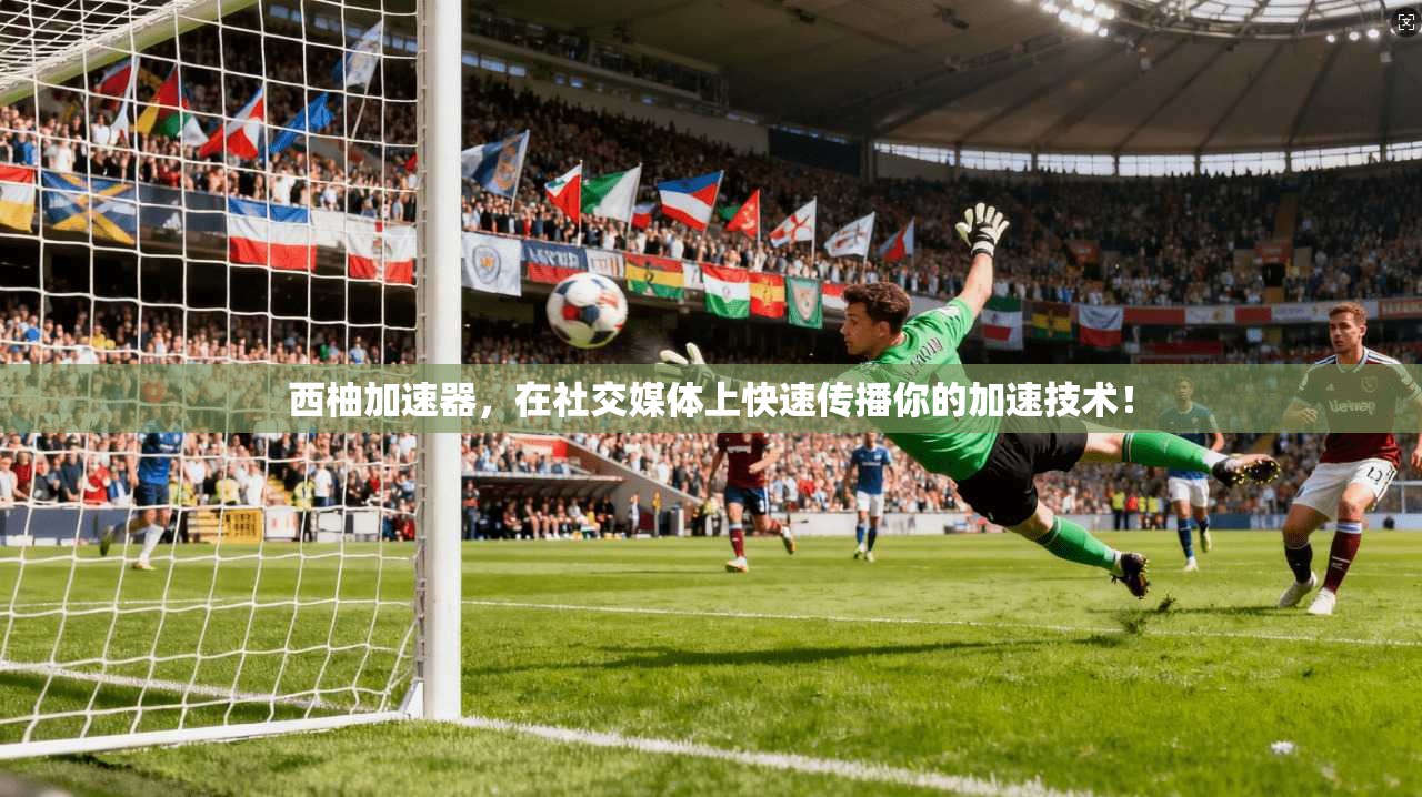 西柚加速器,在社交媒体上快速传播你的加速技术!