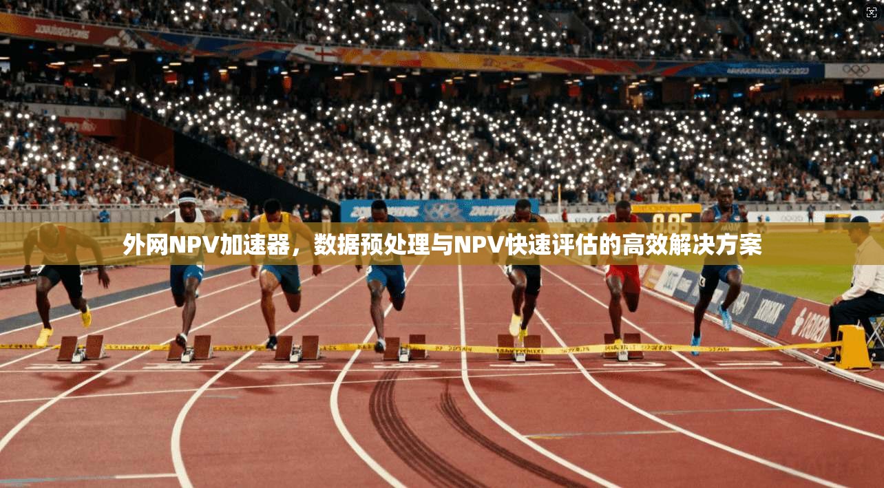 外网NPV加速器,数据预处理与NPV快速评估的高效解决方案