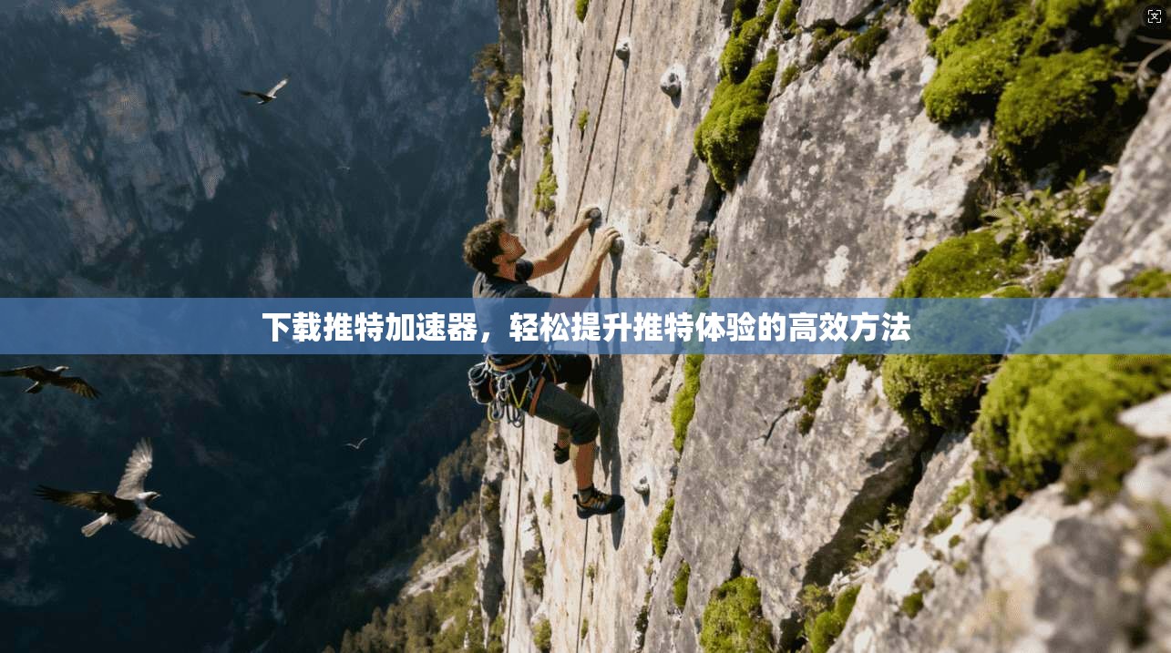 下载推特加速器，轻松提升推特体验的高效方法
