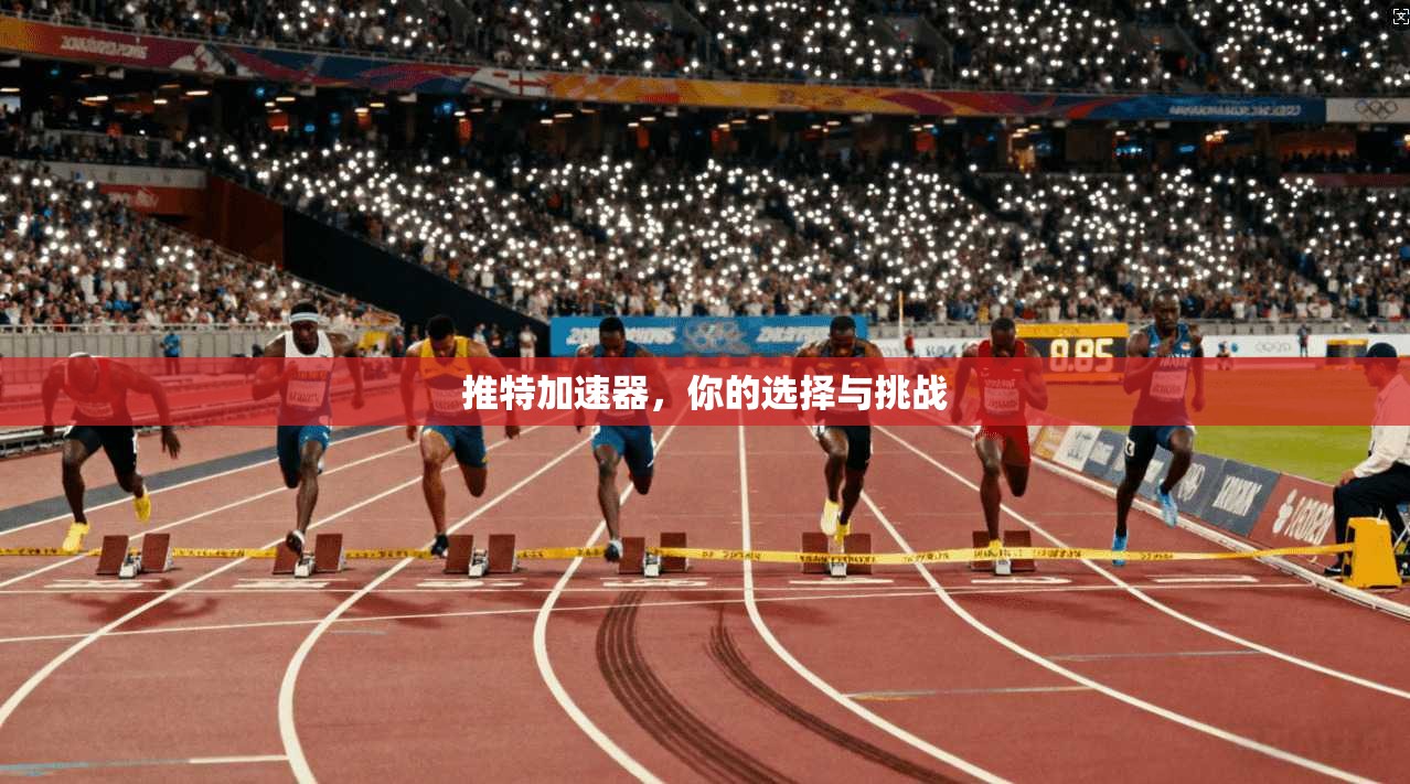 推特加速器，你的选择与挑战