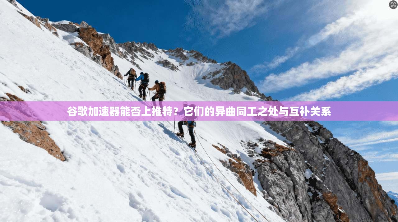 谷歌加速器能否上推特?它们的异曲同工之处与互补关系
