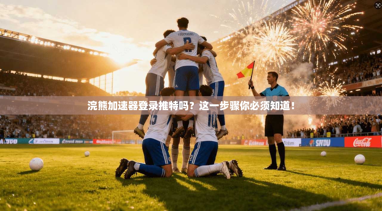 浣熊加速器登录推特吗?这一步骤你必须知道!