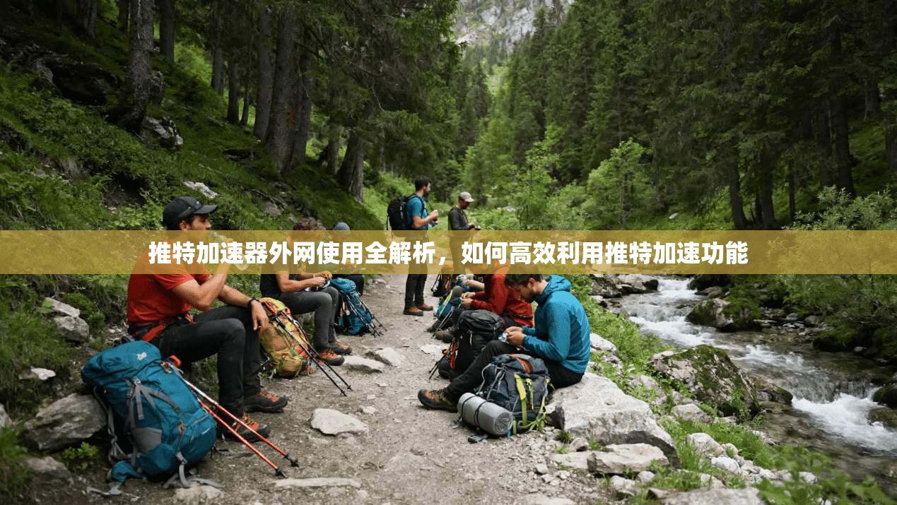 推特加速器外网使用全解析,如何高效利用推特加速功能