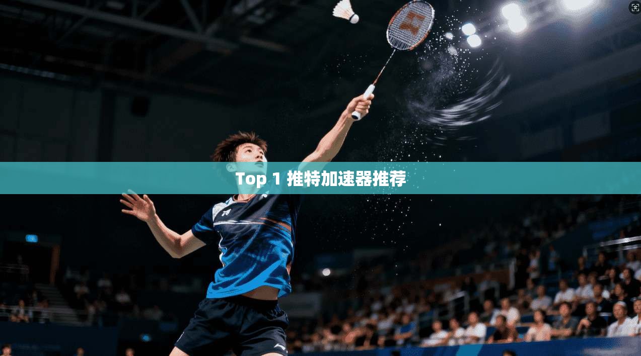 Top 1 推特加速器推荐