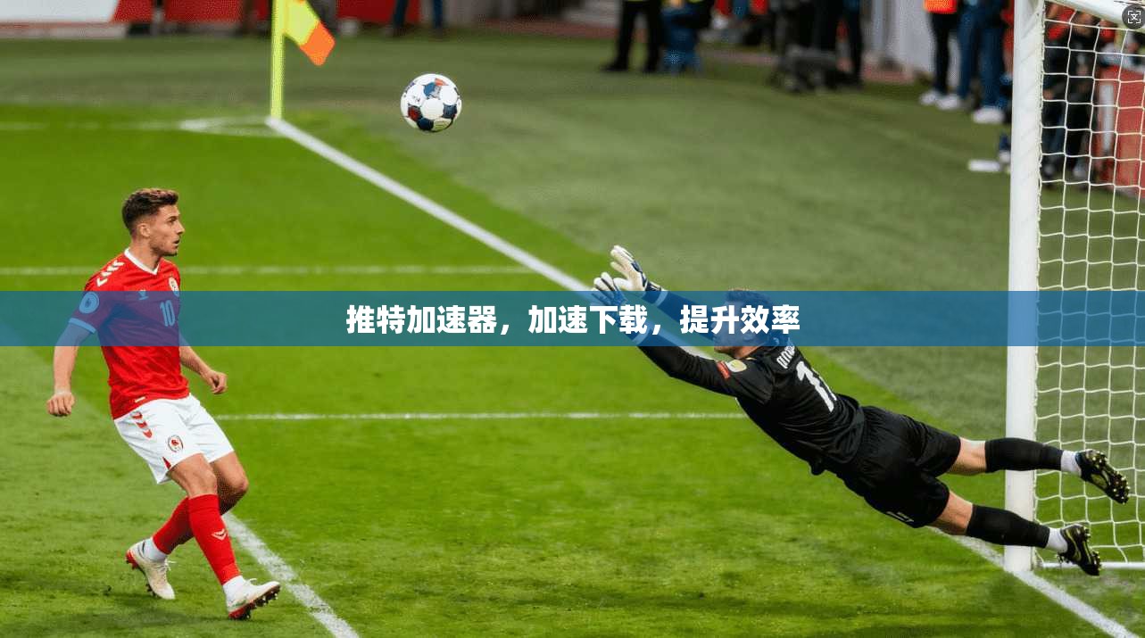 推特加速器，加速下载，提升效率