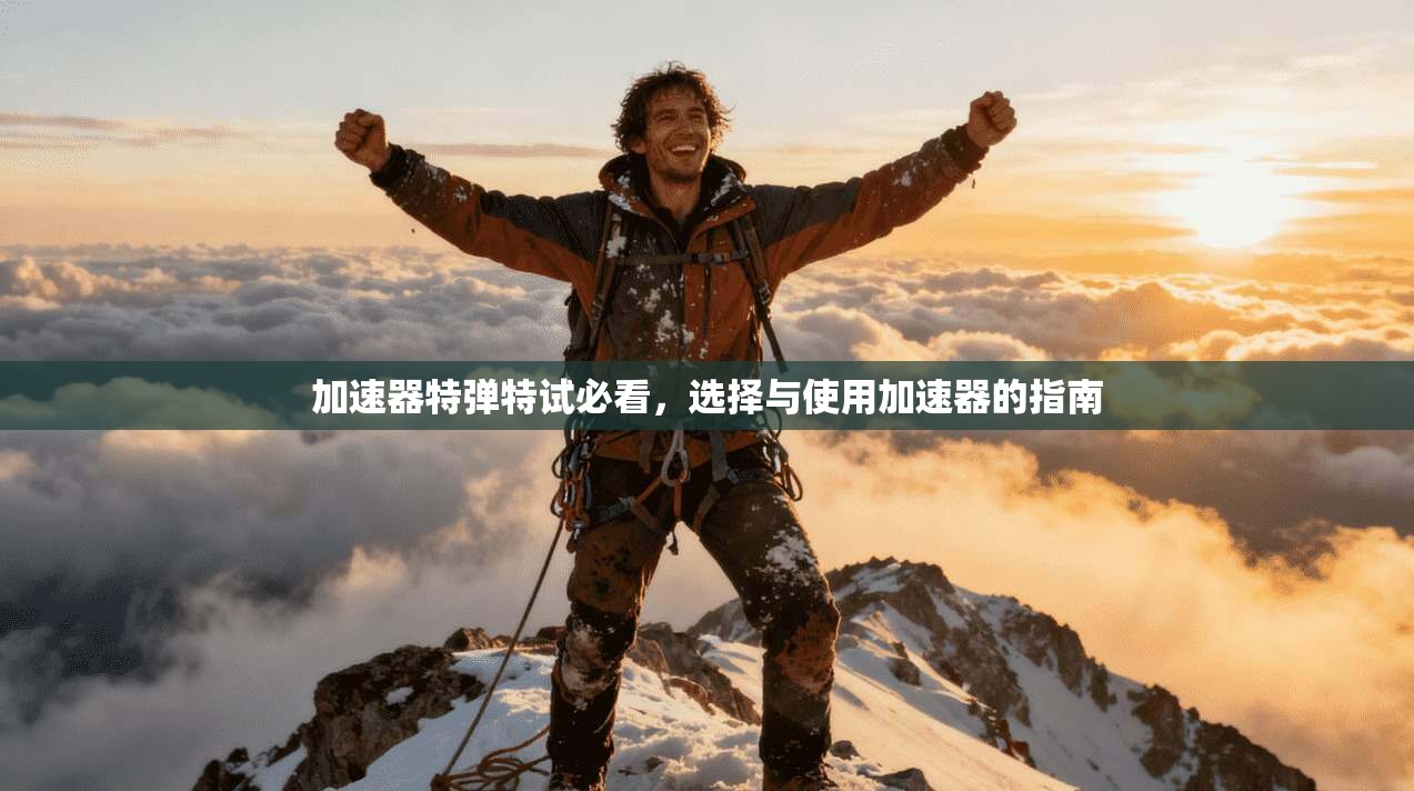 加速器特弹特试必看,选择与使用加速器的指南