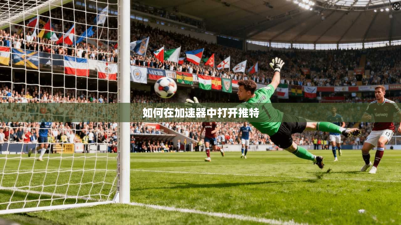 如何在加速器中打开推特