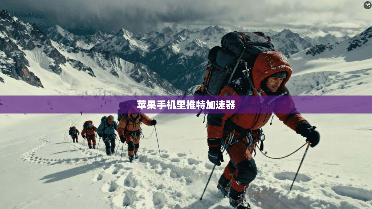苹果手机里推特加速器