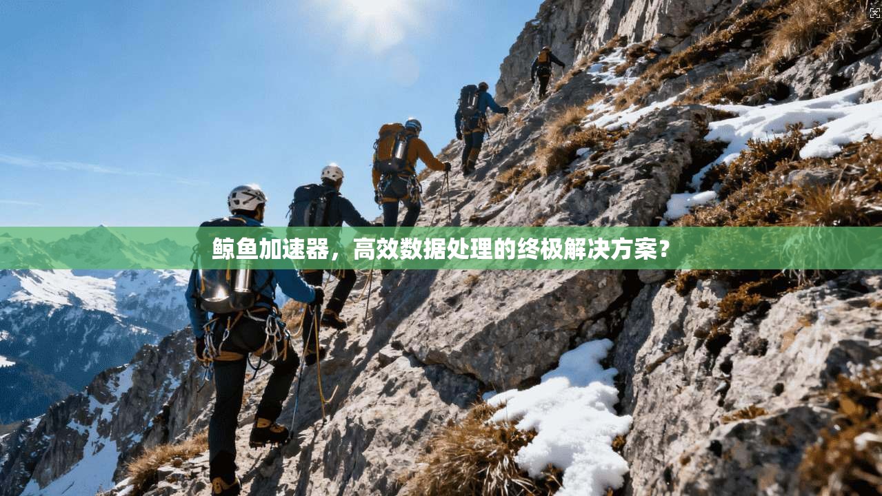 鲸鱼加速器,高效数据处理的终极解决方案?