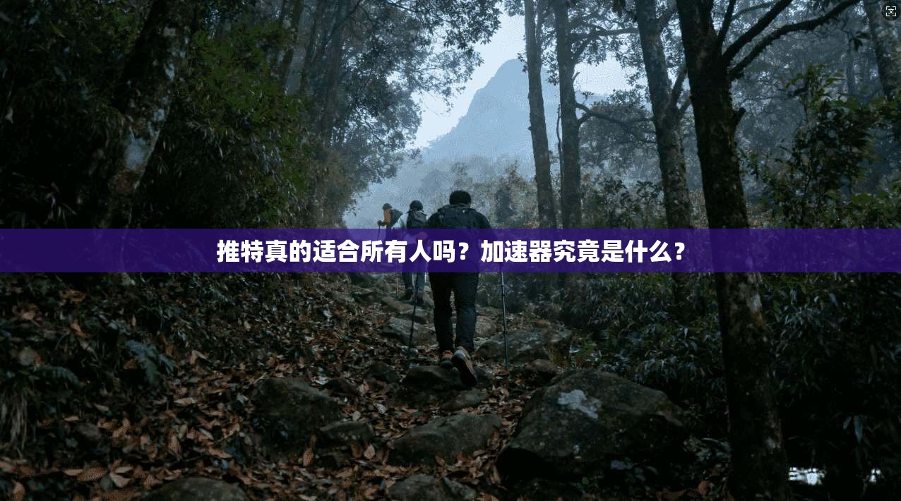 推特真的适合所有人吗?加速器究竟是什么?