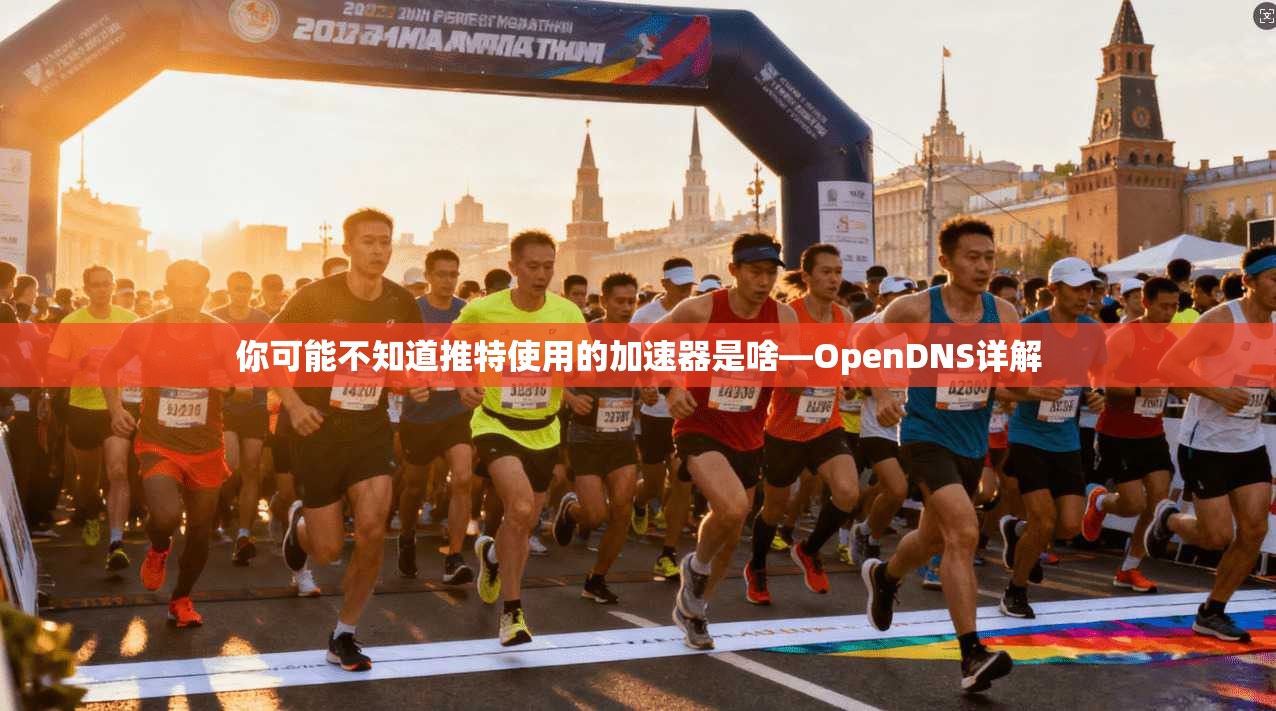 你可能不知道推特使用的加速器是啥—OpenDNS详解