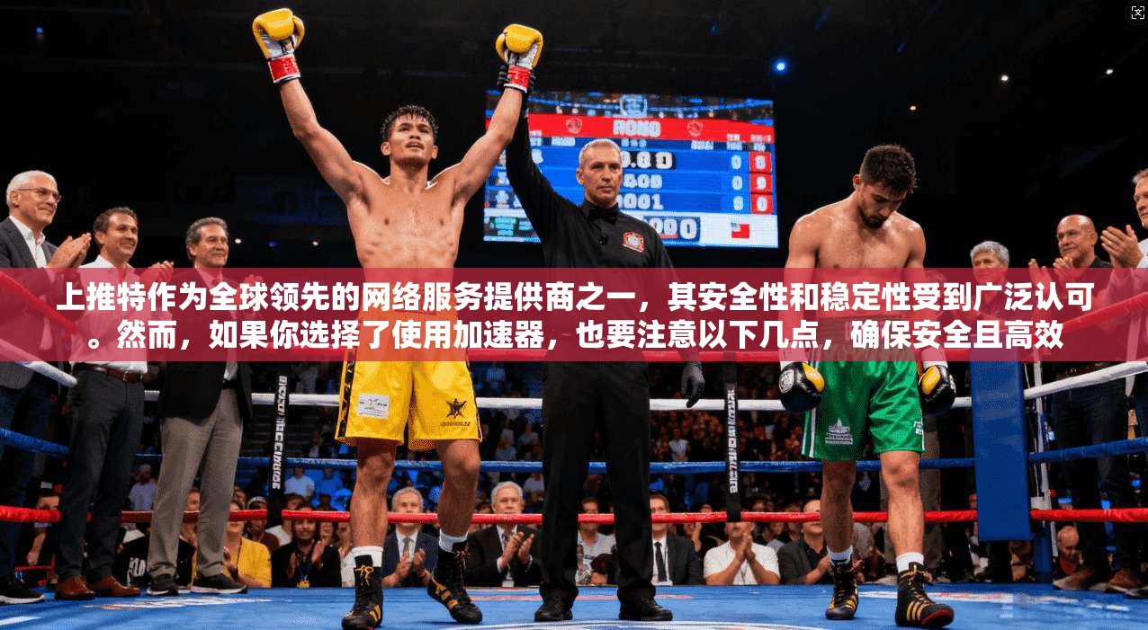 上推特作为全球领先的网络服务提供商之一，其安全性和稳定性受到广泛认可。然而，如果你选择了使用加速器，也要注意以下几点，确保安全且高效