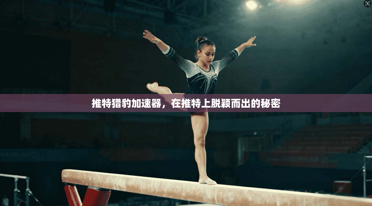 推特猎豹加速器，在推特上脱颖而出的秘密
