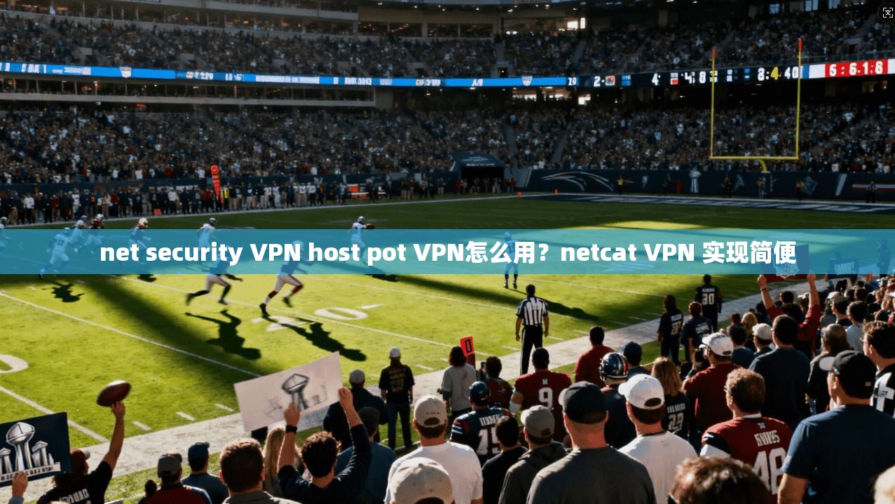 net security VPN host pot VPN怎么用？netcat VPN 实现简便