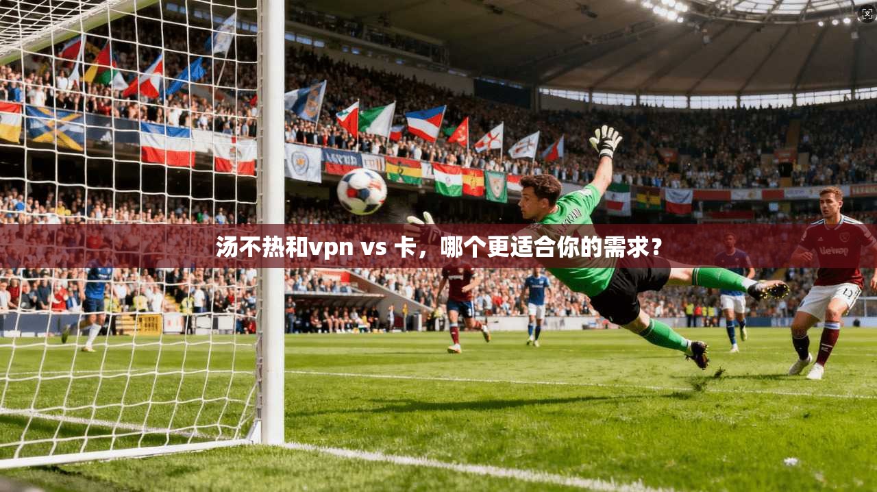 汤不热和vpn vs 卡，哪个更适合你的需求？