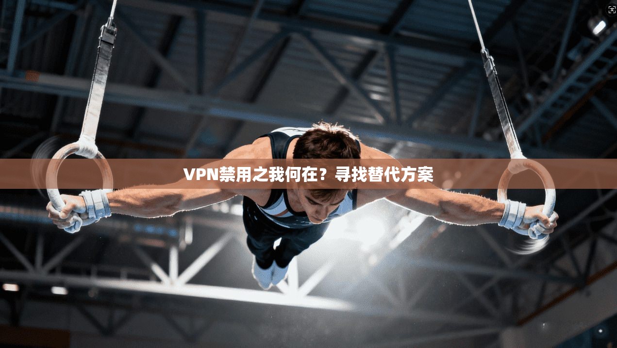 VPN禁用之我何在？寻找替代方案