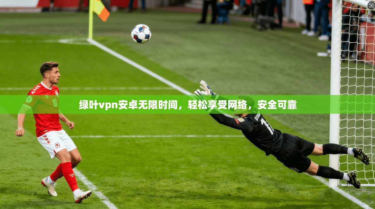 绿叶vpn安卓无限时间,轻松享受网络,安全可靠