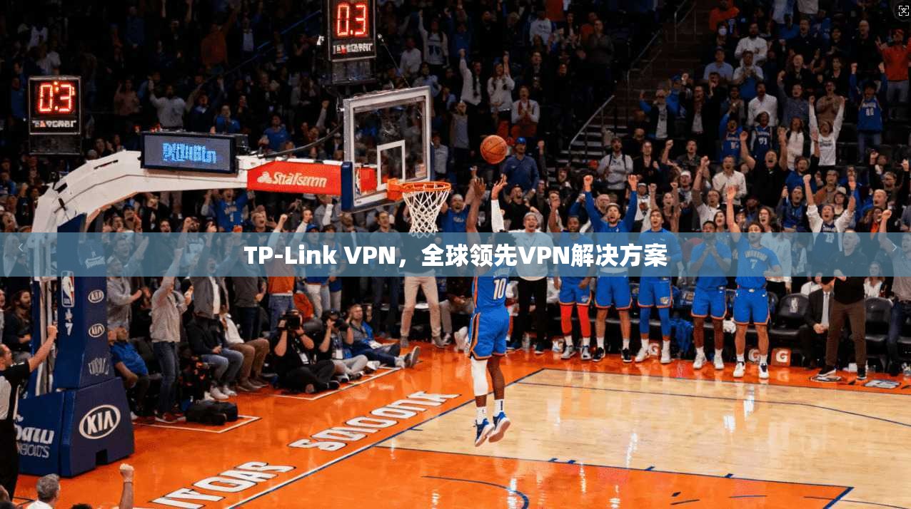 TP-Link VPN，全球领先VPN解决方案