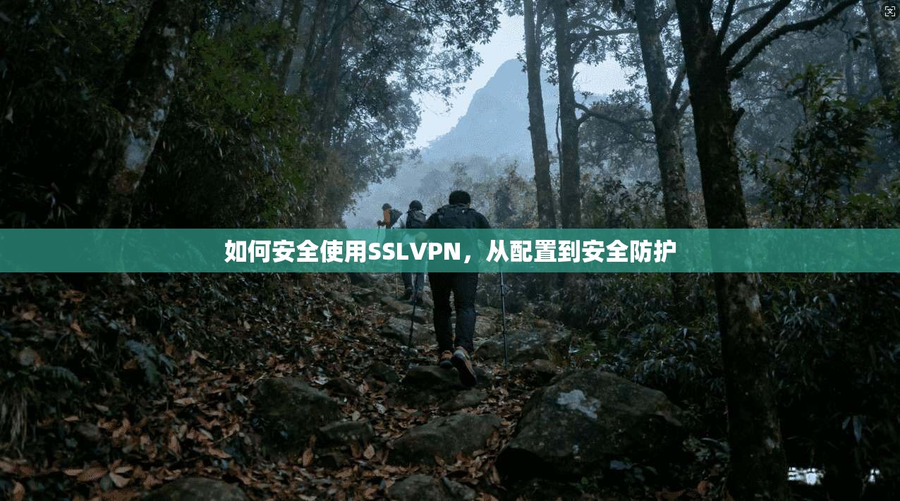 如何安全使用SSLVPN，从配置到安全防护