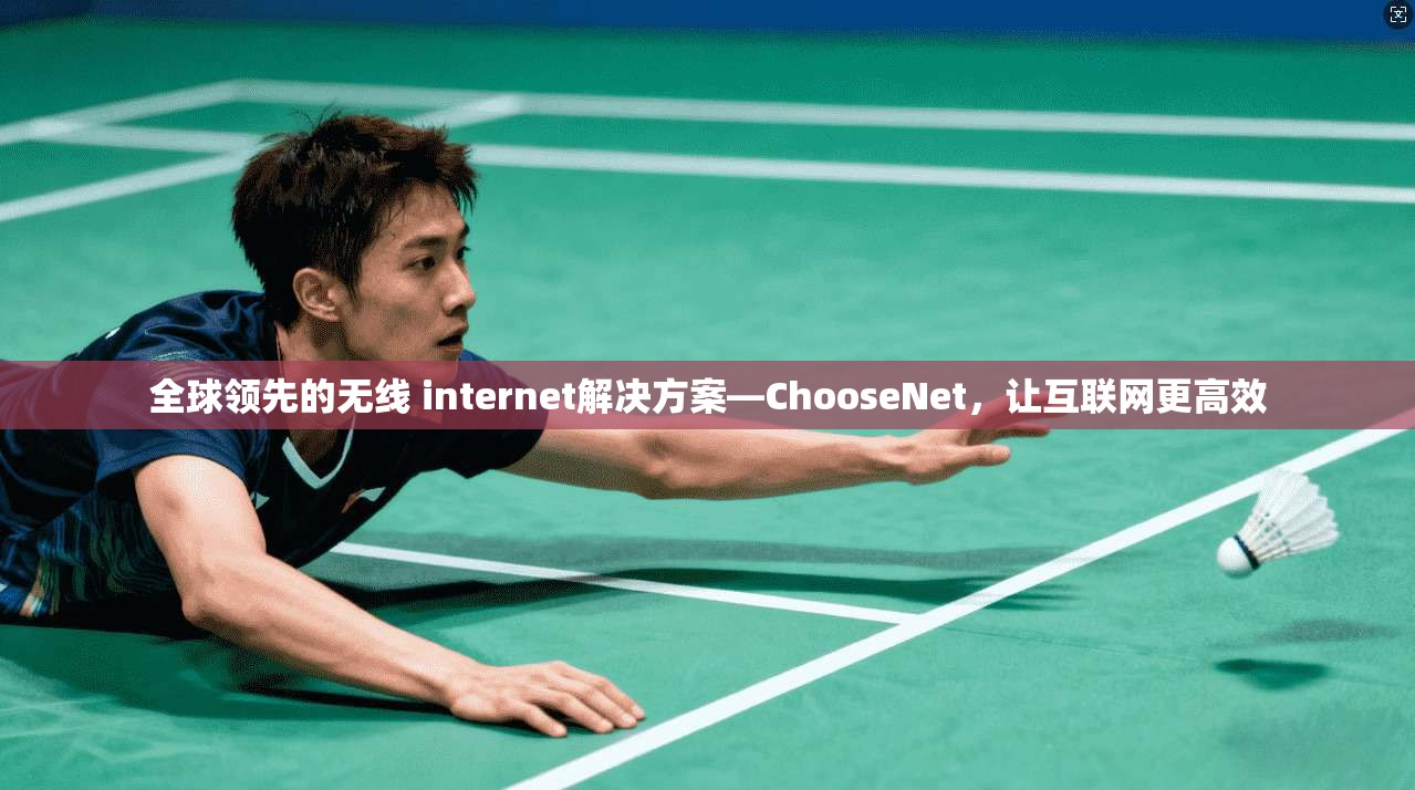 全球领先的无线 internet解决方案—ChooseNet,让互联网更高效